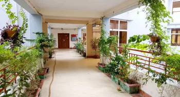 স্নাতক ডিগ্রি পেতে ন্যূনতম পাঁচটি বৃক্ষরোপণ করা বাধ্যতামূলক!